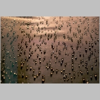 Droplets.jpg